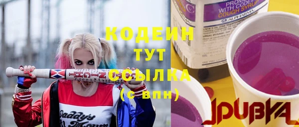 шишки Армянск