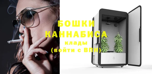 шишки Армянск