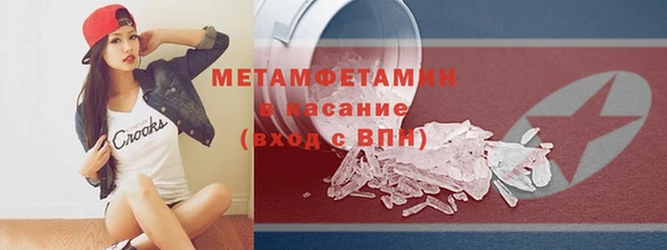 прущие грибы Магас