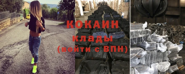 шишки Армянск