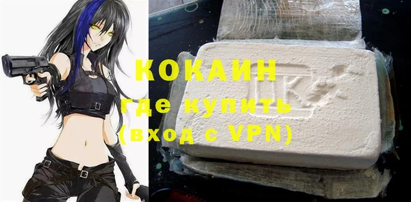 шишки Армянск