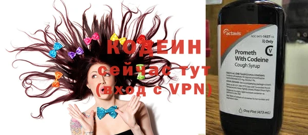 шишки Армянск
